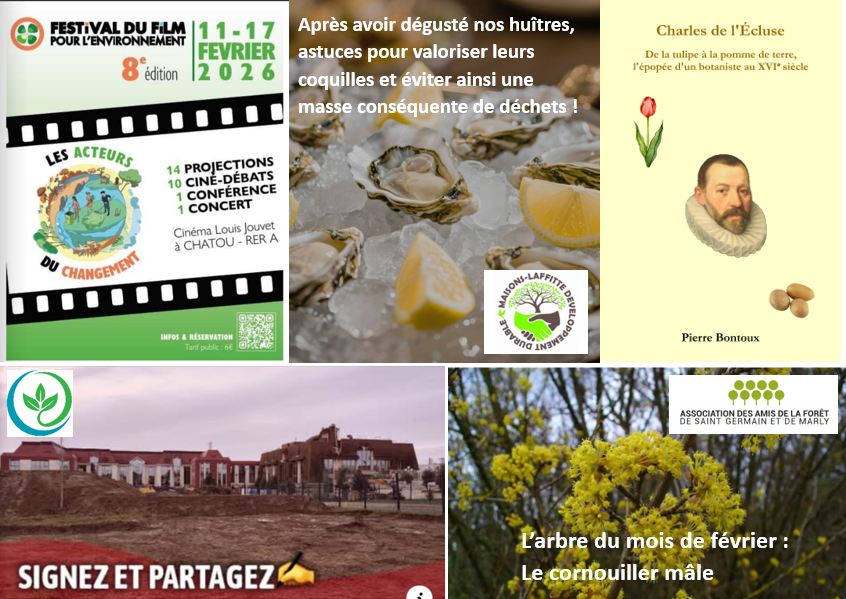 actualites-116